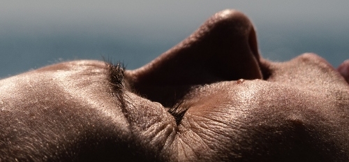 Why Meditate?